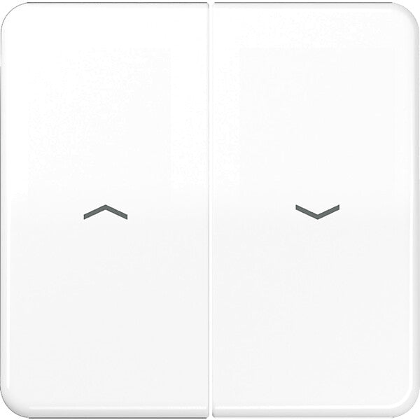 JUNG Wippe Symbole aws für Taster CD 595 P WW
